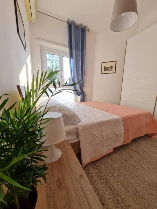 Appartement Casa Del Vicario Al Vaticano